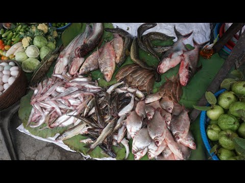 Morning Daily LifeStyle of Vendors @Phsa Kilometers 4 - Walk Around Street Food Market in Town