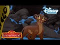 De Leeuwenwacht | Eén Groot Misverstand! ? | Disney Channel NL