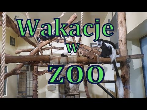 Zwiedzamy Zoo w Krakowie