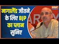 What is BJP