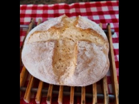 PANE SENZA GLUTINE ricetta del pane senza glutine celiaci gluten free