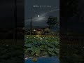 Jin Zada Ost Shorts Jinzada Moonnight Naturalbeauty Entertainment