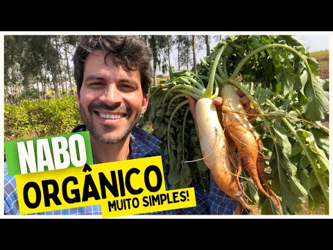 , title : 'Como PLANTAR e colher NABO com cultivo ORGÂNICO'