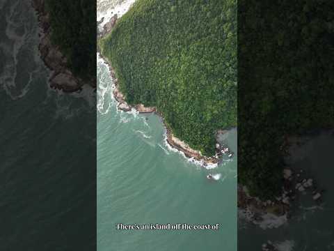 Snake Island: The Place Where Humans are Legally Banned