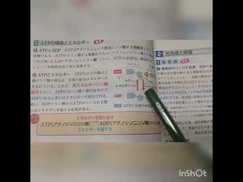 アデノシンについて詳しく解説