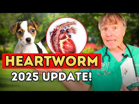 Heartworms in 2025: What's Changed? Dr. Jones' Take on 2025 Heartworm Treatments