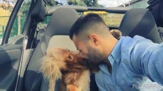 😍Video sconsigliato ai deboli di cuore❤️ Baci che noi amanti degli animali conosciamo molto bene