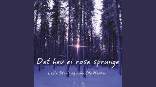 Det hev ei rose sprunge