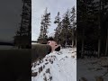 This technique will make your photos POP!