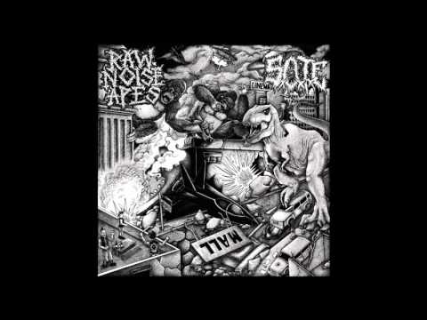 RAW NOISE APES (Tracks from Split 10" w/SxOxTxEx)