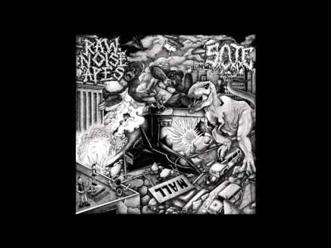 RAW NOISE APES (Tracks from Split 10