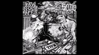 RAW NOISE APES (Tracks from Split 10
