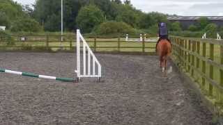 Sara and Turbo. Jumping position practice, trotting poles...and a stumble.