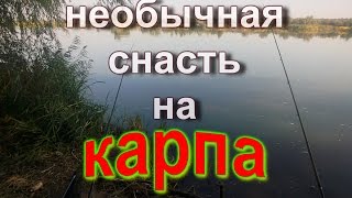 Карповая донная снасть