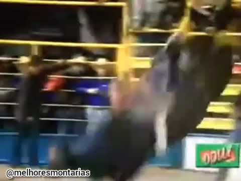 TOURO SPUTNIK - CHICÃO FALQUE