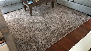 Safavieh California Rug Review - My Unbiased Opinion