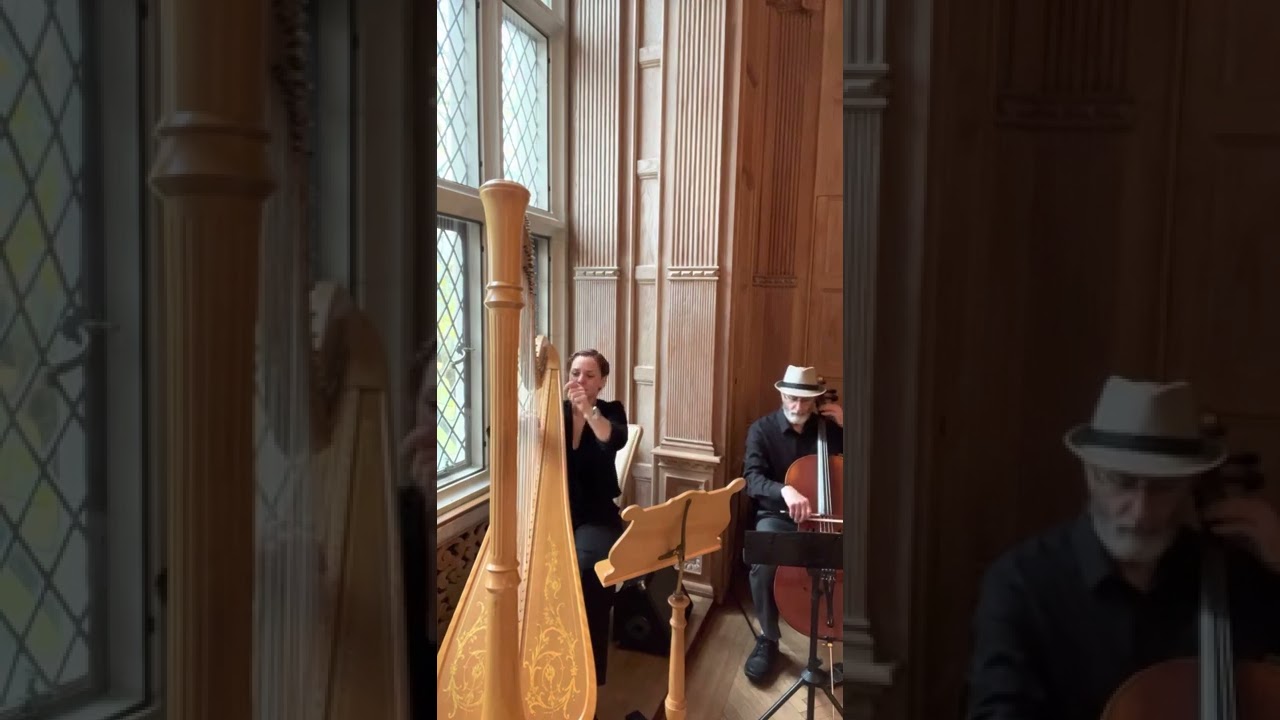 Promotional video thumbnail 3 for Sinfonietta Arts