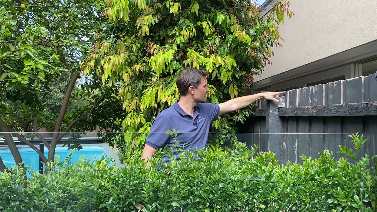 What is an NCZ5 or non-climbable zone 5 on a 2012 boundary fence - NCZ5 explained