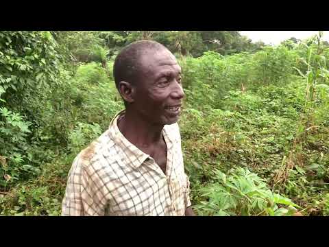 The Ultimate Destination for Diverse Operations in Mattru Jong!