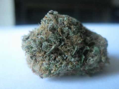 Sourdeezal Redman feat. Ready Roc