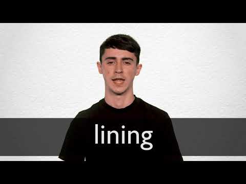 Lining Definition And Meaning Collins English Dictionary
