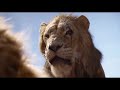 LION KING In KGF Chapter 2 Ft Lion King