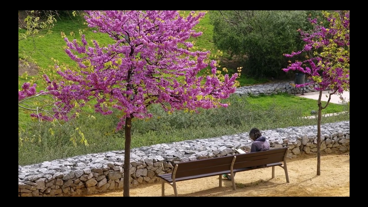 Jury Intervention · Michel Desvigne — Ver en YouTube