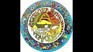 Hotz 'n' Plotz • Restricted Rhythm (2001)