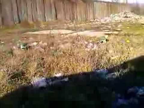 Opera Primarului Sorin Bacila din Comuna Dalboset ! :))