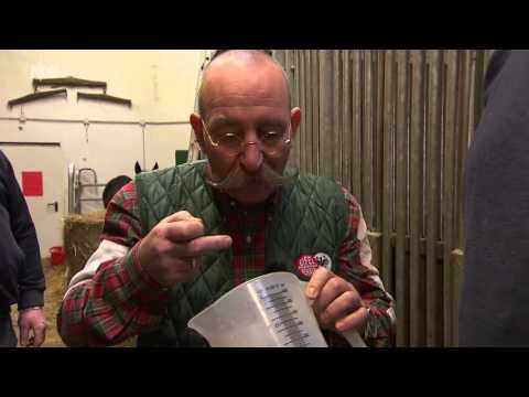 Der XXL Ostfriese: Herd statt Pferd mit Horst Lichter