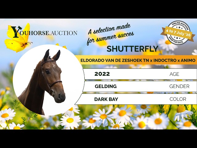 Shutterfly