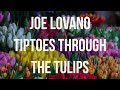 Joe Lovano Tiptoes Through the Tulips