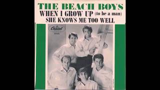 THE BEACH BOYS/She Knows Me Too Well