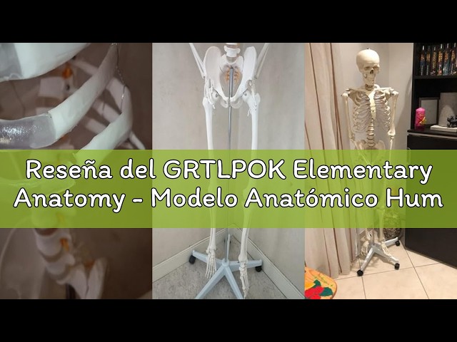 Vídeo relacionado con VOANZO Réplica de calavera humana retro extraíble, modelo anatómico, tamaño médico, realista 1:1