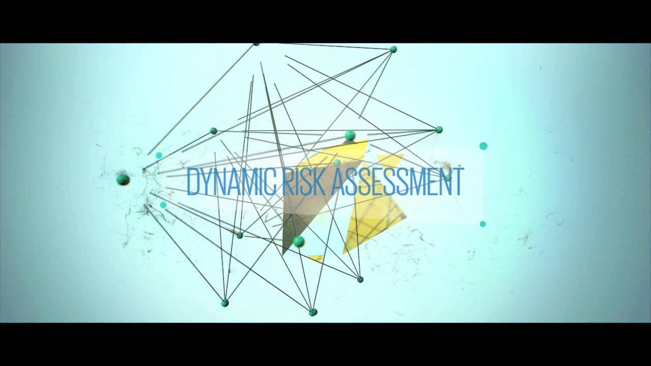 Dynamic Risk Assessment