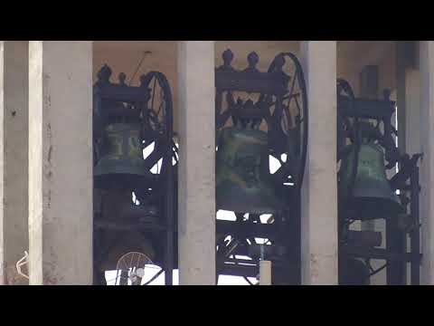 Le campane di Garbagnate Milanese (MI) - Distesa