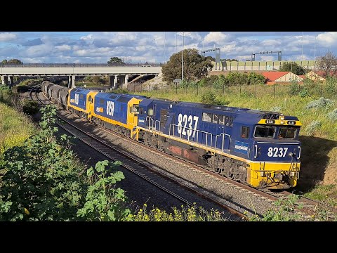 LOTS OF FREIGHT TRAINS - Container Trains, Steel Trains, Cements Trains, Grain Trains, Light Engines