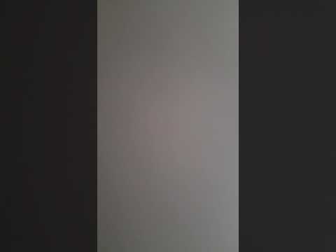 Barshxhq x Lil Kwapo x PLC x $zeli - Balenciaga