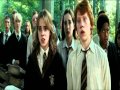 Ron & Hermione Беспощадная сука, стерва... 