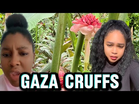 „Im Schatten von Vybz Kartel leben und dabei Tiefe beanspruchen“ @RICSTORMTV @vybzkartelradio.