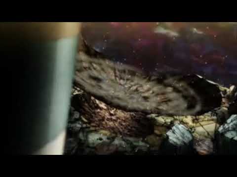 Goku desperta o instinto superior pela primeira vez