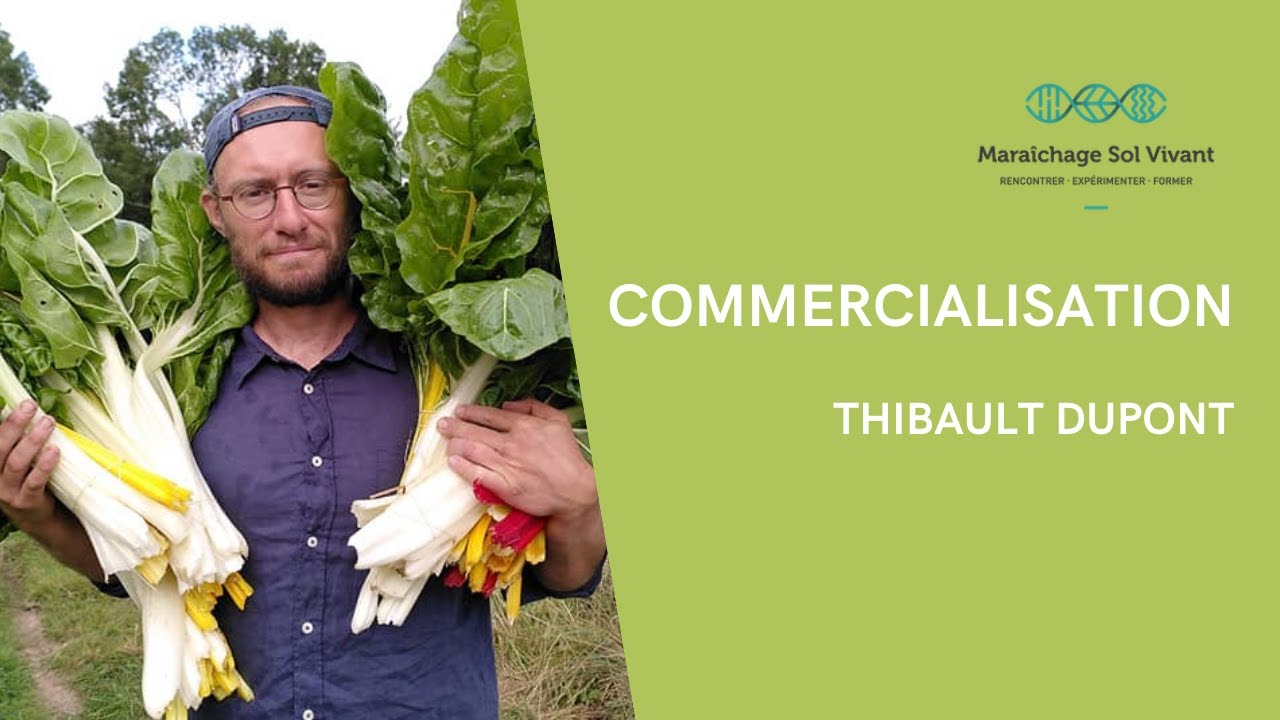 Commercialisation, par Thibault Dupont de la Ferme des Gobettes