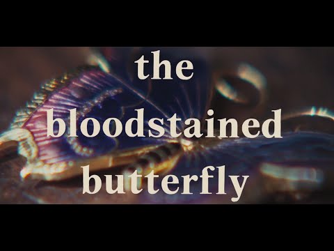 Trailer-Vorschau: Das Messer