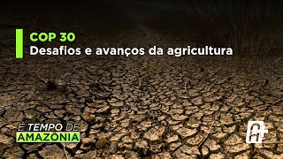 COP 30: Desafios e Avanços da Agricultura.