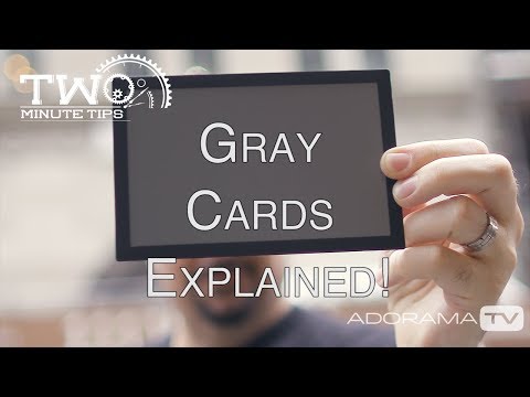 Using a Gray Card: Two Minute Tips with David Bergman