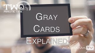 Using a Gray Card: Two Minute Tips with David Bergman