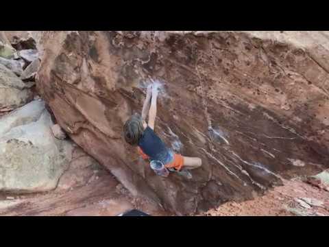 Spitting Venom V8 (12/27/2019)