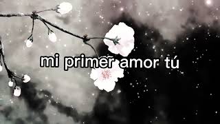 Chayanne.(letra). Mi Primer Amor.