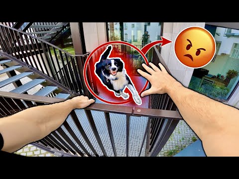 ESCAPING ANGRY DOG (Epic Parkour POV Chase)