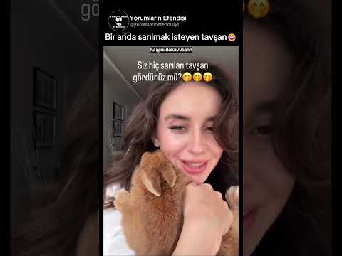 Birden sarılmak isteyen sevimli tavşan🥰 @nildakavusann